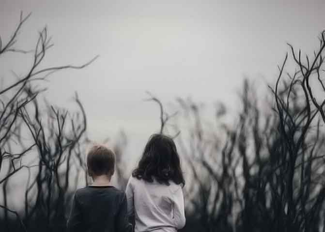 批发价格实惠的器测压文章